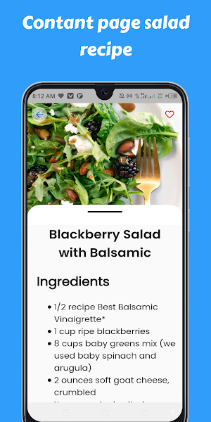 Salad Recipes Cookbook app Screenshot 2