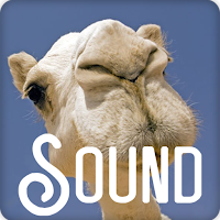 Camel Soundboard Ringtones