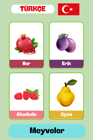 Meyveler ve Sebzeler - Türkçe Screenshot 0