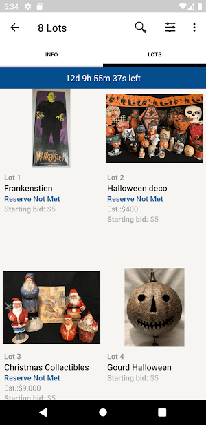 Fins auctions Screenshot 2