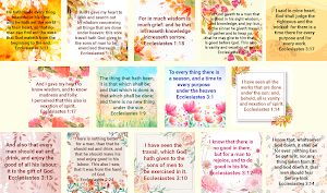 Bible Ecclesiastes Screenshot 0