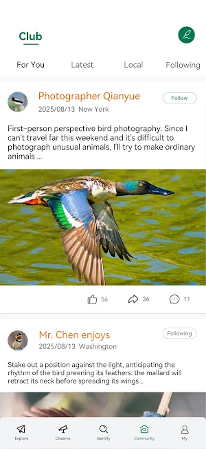 Go Birding Screenshot 1