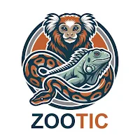 Zootic - زووتيك