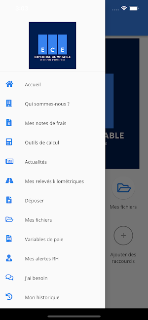 Cabinet CMA - ECE Expertise Screenshot 3