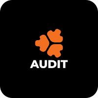 AUDIT.MOTIV.