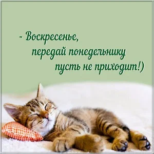 Прикольные картинки Screenshot 1