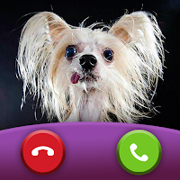 Dog Prank Call: Fake Video