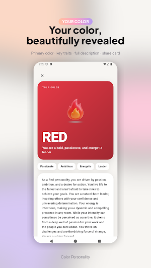 Color Personality Screenshot 3