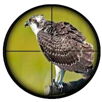 2D Bird Shooting Game