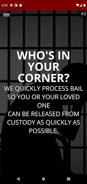 CityWide Bail Bonds Screenshot 1