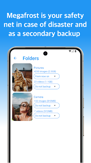 Megafrost - Backup your Media Screenshot 2