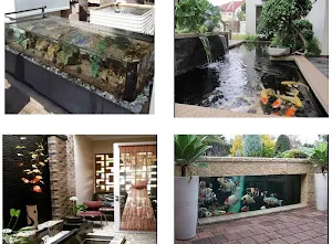 The fish pond at home Screenshot 3
