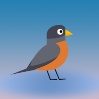 Bouncy Bird