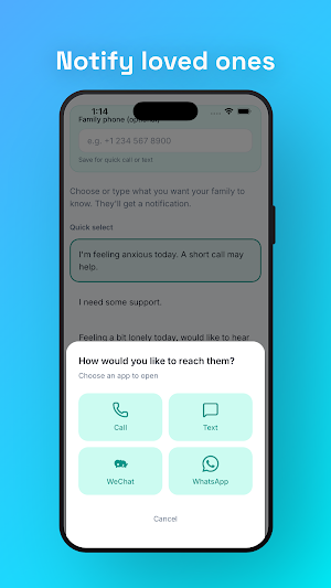 XinBridge Screenshot 1