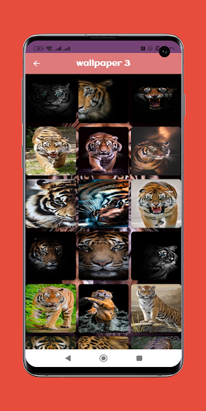 Tiger wallpaper Screenshot 3