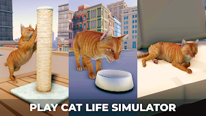 Cats Game - Survival Simulator Screenshot 1
