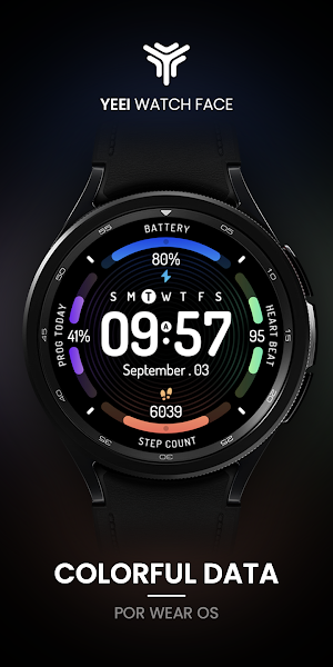 Colorful data: Watch Face Screenshot 0