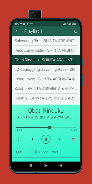 Selendang Biru Shinta Dan Arya Screenshot 3