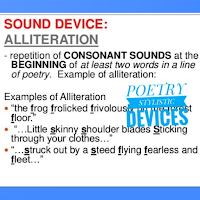 Stylistic devices in poetry.