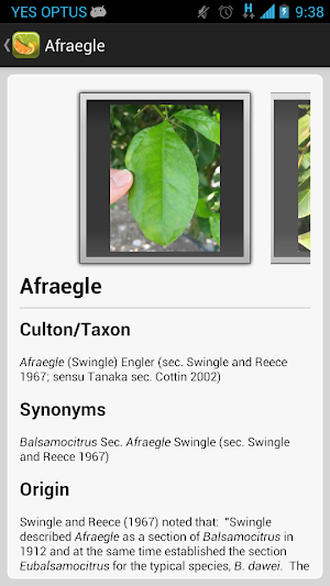 Citrus ID Screenshot 3