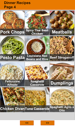 Dinner Recipes : Cookbook App Screenshot 2