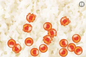 Salmon Roe Screenshot 1