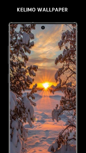 Winter Wallpaper Screenshot 0