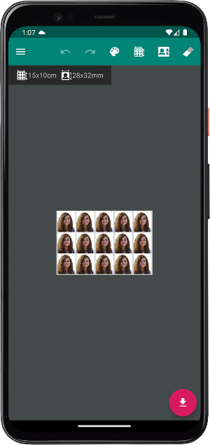 Passport Photo Screenshot 3