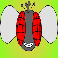Fly Smash Frenzy