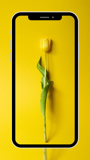 Minimalis Wallpaper Screenshot 0