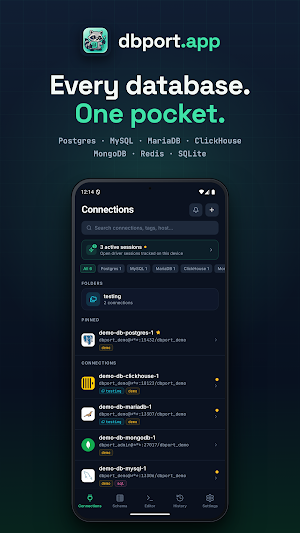 DBPort: Modern Database Client Screenshot 0