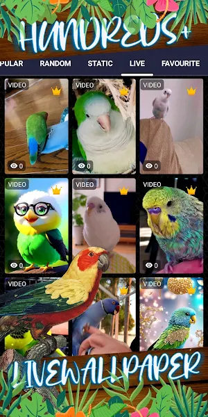 parakeet wallpaper Screenshot 2