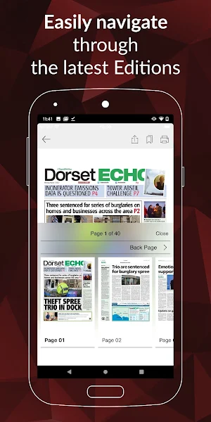 Dorset Echo Screenshot 1