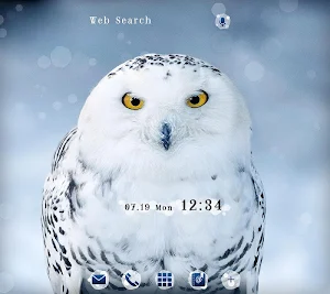 Snowy Owl wallpaper Screenshot 0