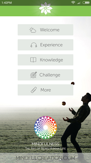 Mindfulness: 2012 Screenshot 0