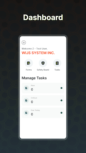 WIJS SYSTEMS INC. Screenshot 2