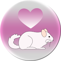Chinchilla Calculator