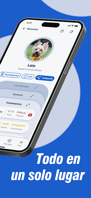 Pasapet Screenshot 1