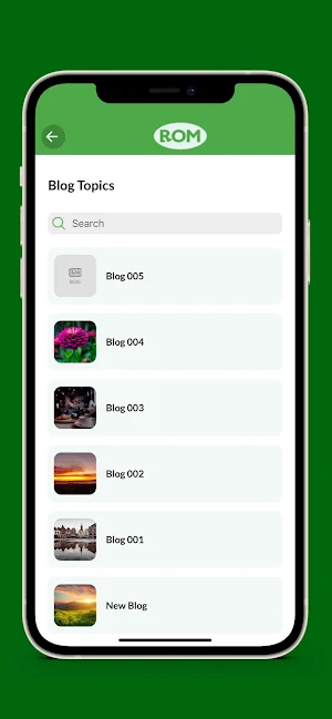 ROM Screenshot 3