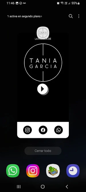 Tania Garcia Estilista Screenshot 1