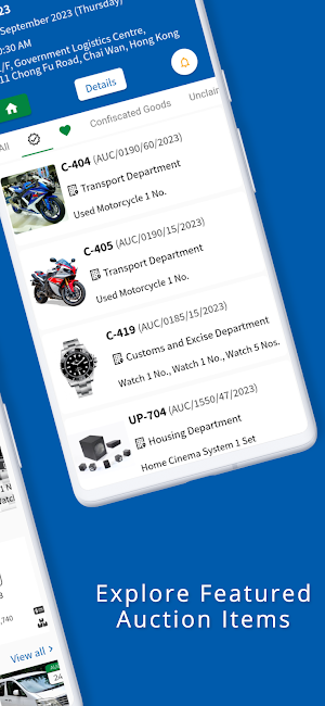 Government Auction Database Screenshot 2