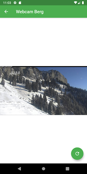 Brandtnerhof Screenshot 2