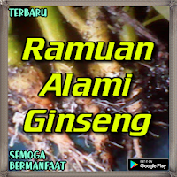 Ramuan Alami Ginseng Menambah 