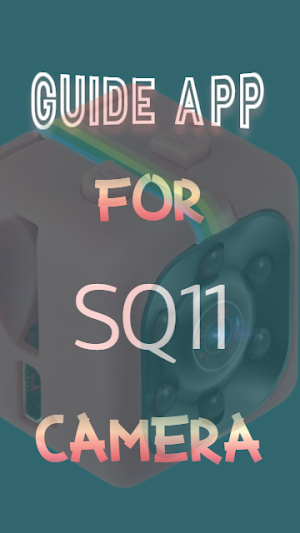 Sq11 Mini dv Camera Guide Screenshot 2