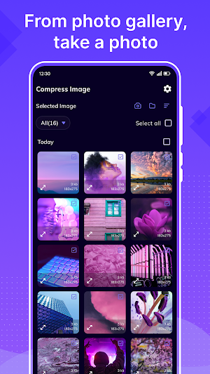 Photo Compressor - Downsize Screenshot 0