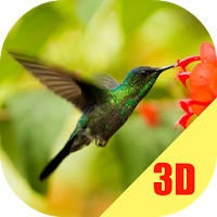 Birds Flying Live Wallpaper