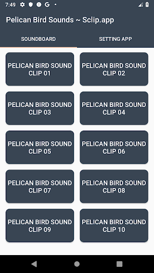 Pelican Bird Sound Collections ~ Sclip.app Screenshot 0