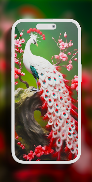 Bird wallpapers HD Screenshot 2