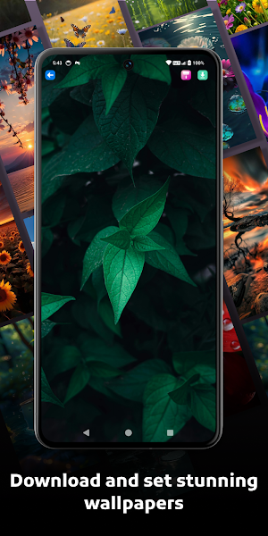 WallyUp Frames Pro Screenshot 2
