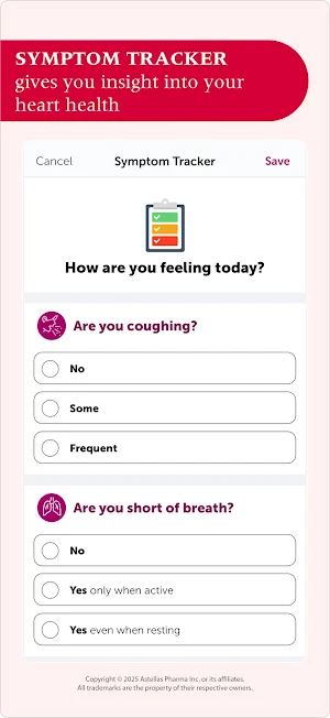 DIGITIVA Screenshot 3